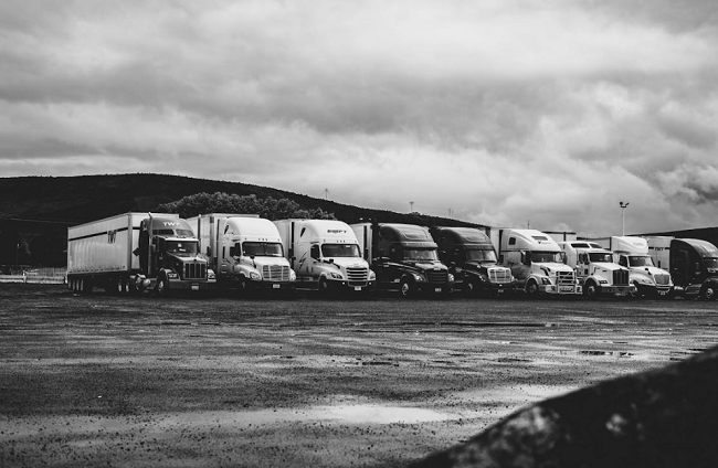 美国卡派 美国卡派